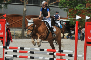 Svět koní - Královice 2016